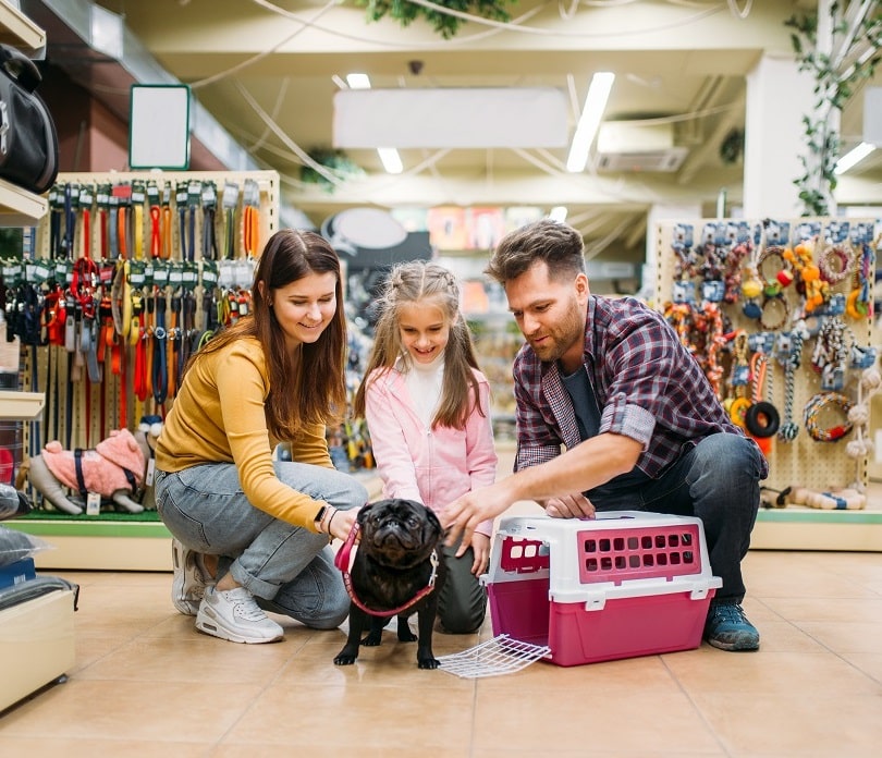 Family,Buying,Supplies,For,Little,Puppy,In,Petshop per stores